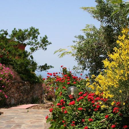 Ikarian Centre guesthouse Evdilos  Extérieur photo