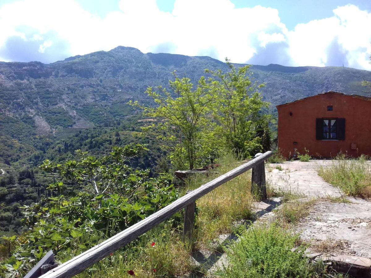 Ikarian Centre guesthouse Evdilos  Extérieur photo