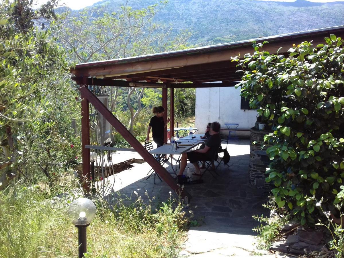 Ikarian Centre guesthouse Evdilos  Extérieur photo