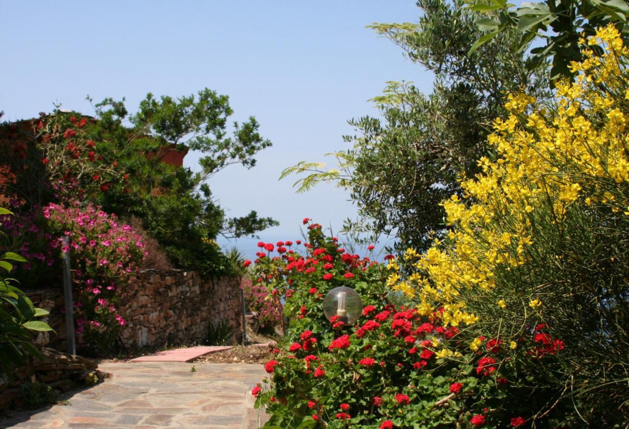 Ikarian Centre guesthouse Evdilos  Extérieur photo