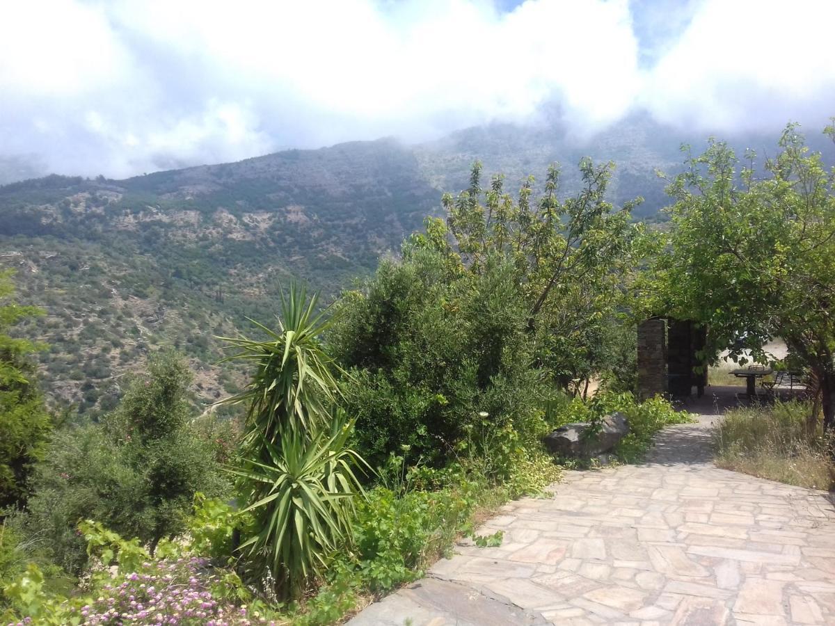 Ikarian Centre guesthouse Evdilos  Extérieur photo